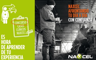 Zoetis abre el plazo de participación del Concurso ‘Casos clínicos Naxcel’