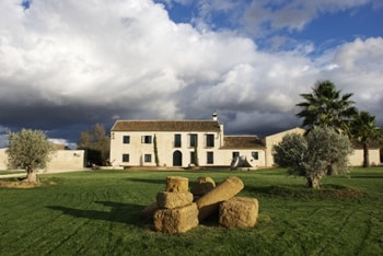 El Hojiblanca Finca La Torre, dos veces consecutivas Mejor Aceite Virgen Extra de España