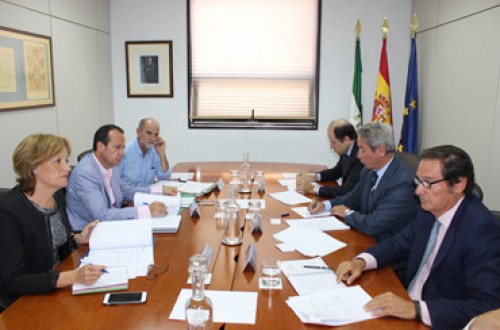 Asemesa expone a la consejera de Agricultura andaluza la actual situación de la aceituna de mesa