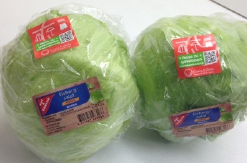 Lechugas murcianas venden la Costa Cálida en Alemania