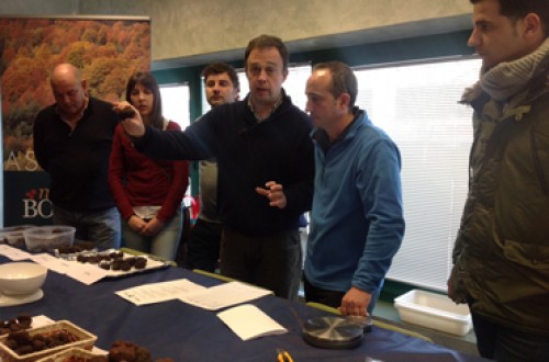 Primeras operaciones en el mercado mayorista de Trufa Negra de Soria