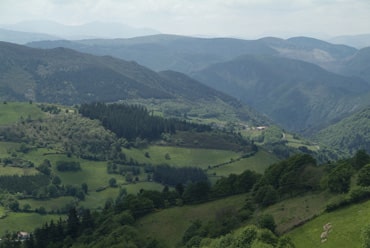 El Gobierno aprueba la nueva Ley de Montes