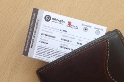 Expedición de permisos de recolección de setas en las áreas reguladas de Burgos, Salamanca y Soria